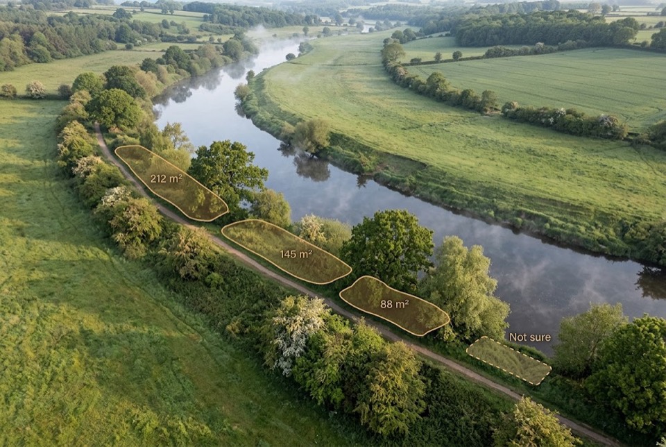 An aerial view of a riverside path through parkland, with three patches of invasive plant outlined and measured at 212, 145 and 88 square metres, and one smaller uncertain patch marked not sure.