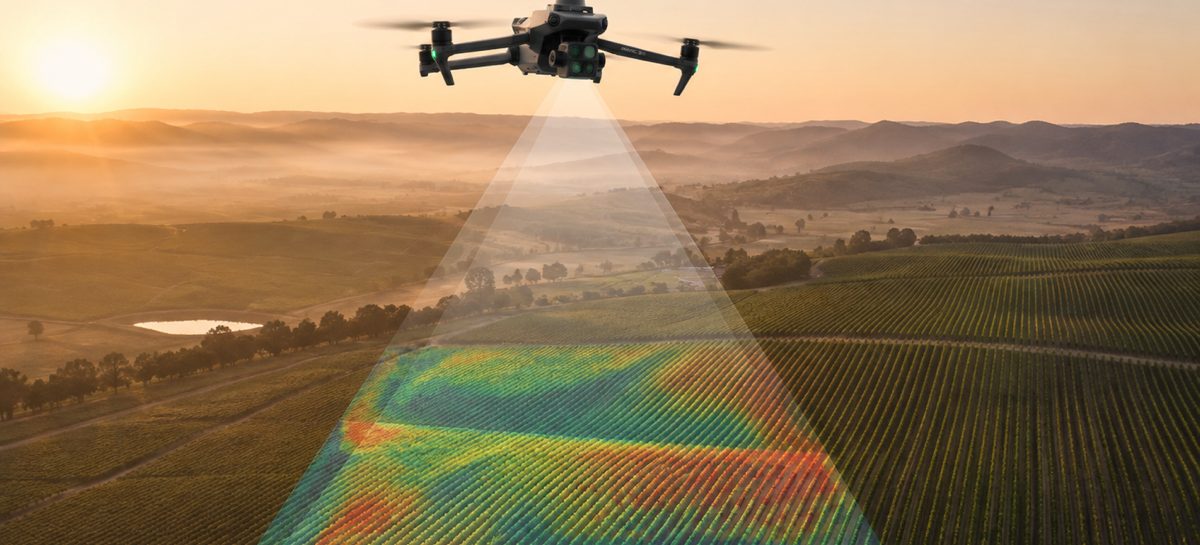 A survey drone over a vineyard at dawn, with a vegetation index map projected onto the rows below it in the shape of the sensor's footprint.